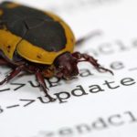 computer-bug